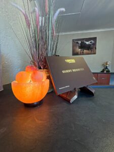 WhatsAppImage2025 10 15at17.54.454 QmfnNPH DsqbV6wyCRXwtQ 225x300