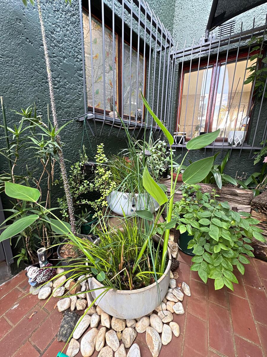 Home WhatsAppImage2025 10 15at17.54.46 AKsG AAWn2q518alPorjvQ