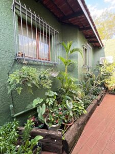 WhatsAppImage2025 10 15at17.54.47 UYfmCWaYveNfbLwf5P6ubg 225x300