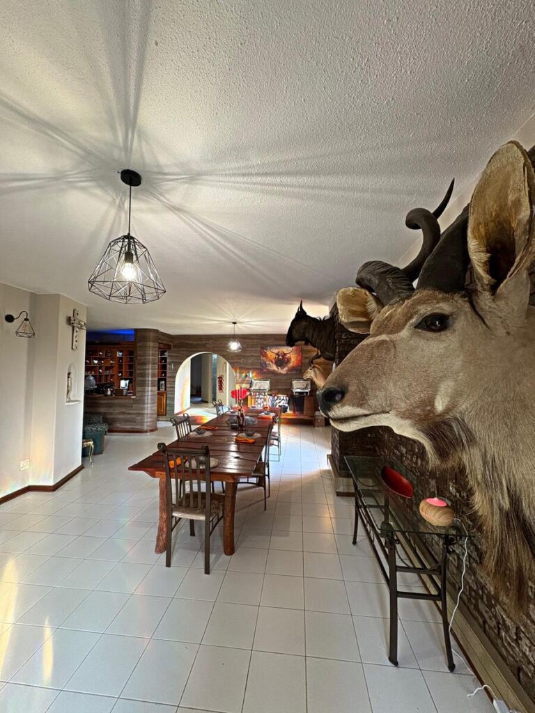 WhatsAppImage2025 10 15at17.54.483 GEBGejoN7CHTkx4CKhLKwA 768x1024